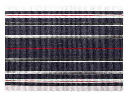 Prestieranie RIB 620