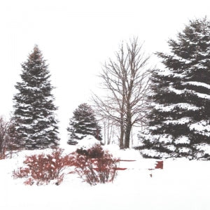 Dekoračný návlek FLORA winter biela