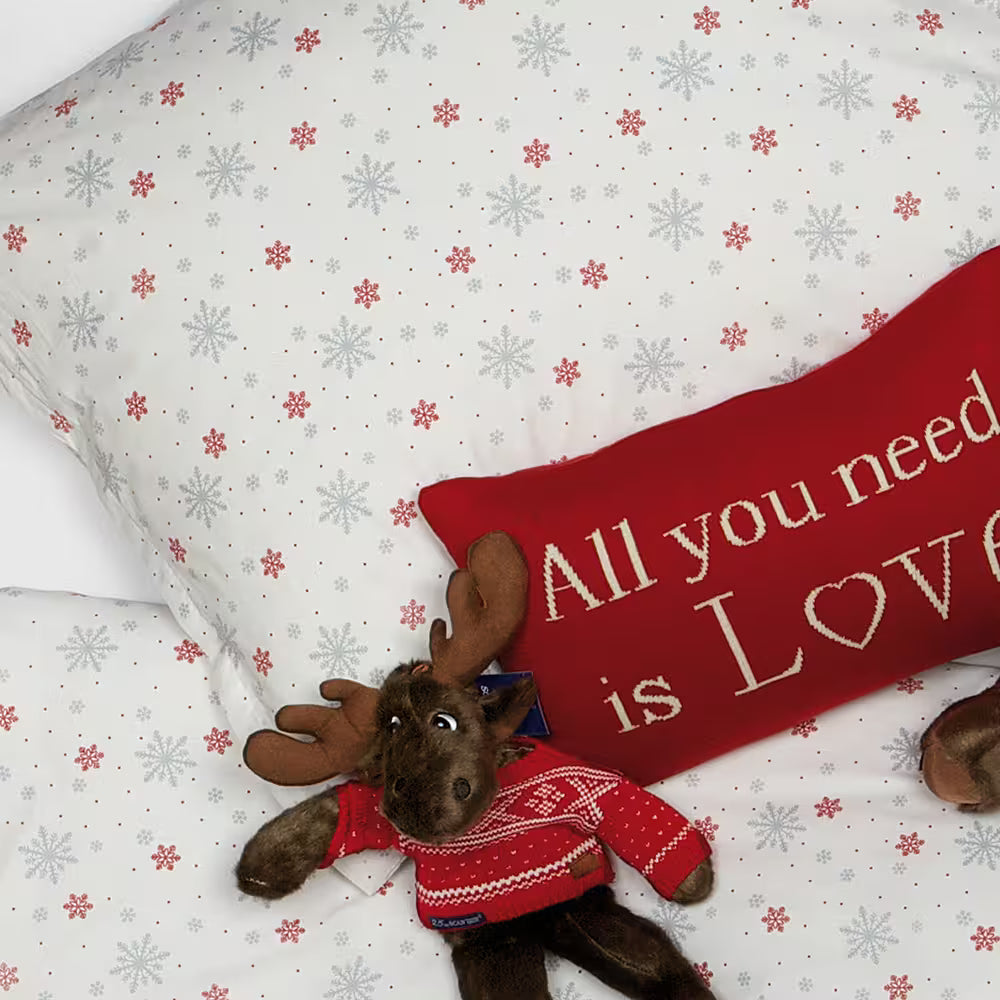 Obliečky KLASIK 4091/2